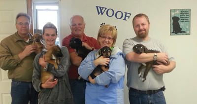 group with puppies